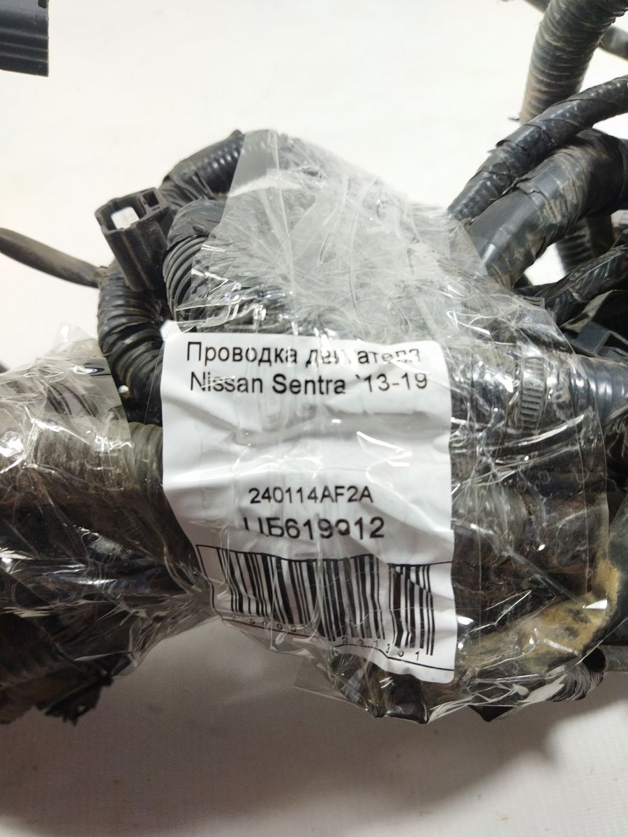 Sentra Проводка двигуна Nissan Sentra 2013-2019 240114AF2A Nissan Sentra 6 Sentra Проводка двигуна Nissan Sentra 2013-2019 240114AF2A Nissan Sentra 6
