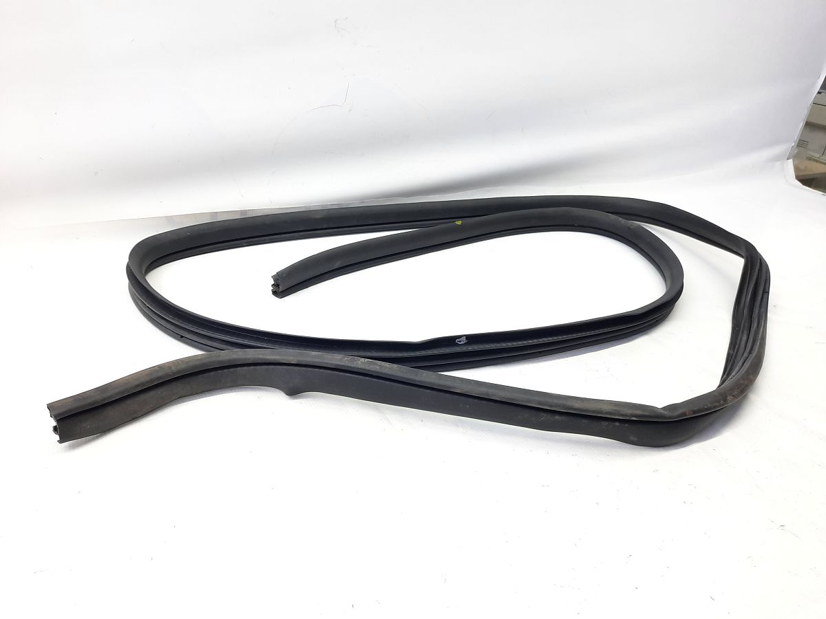 Grand caravan Ущільнювальна гумка отвору дверей задньої лівої/правої Dodge Grand Caravan 2008-2020 1JG10XXXAG Dodge Grand Caravan 3