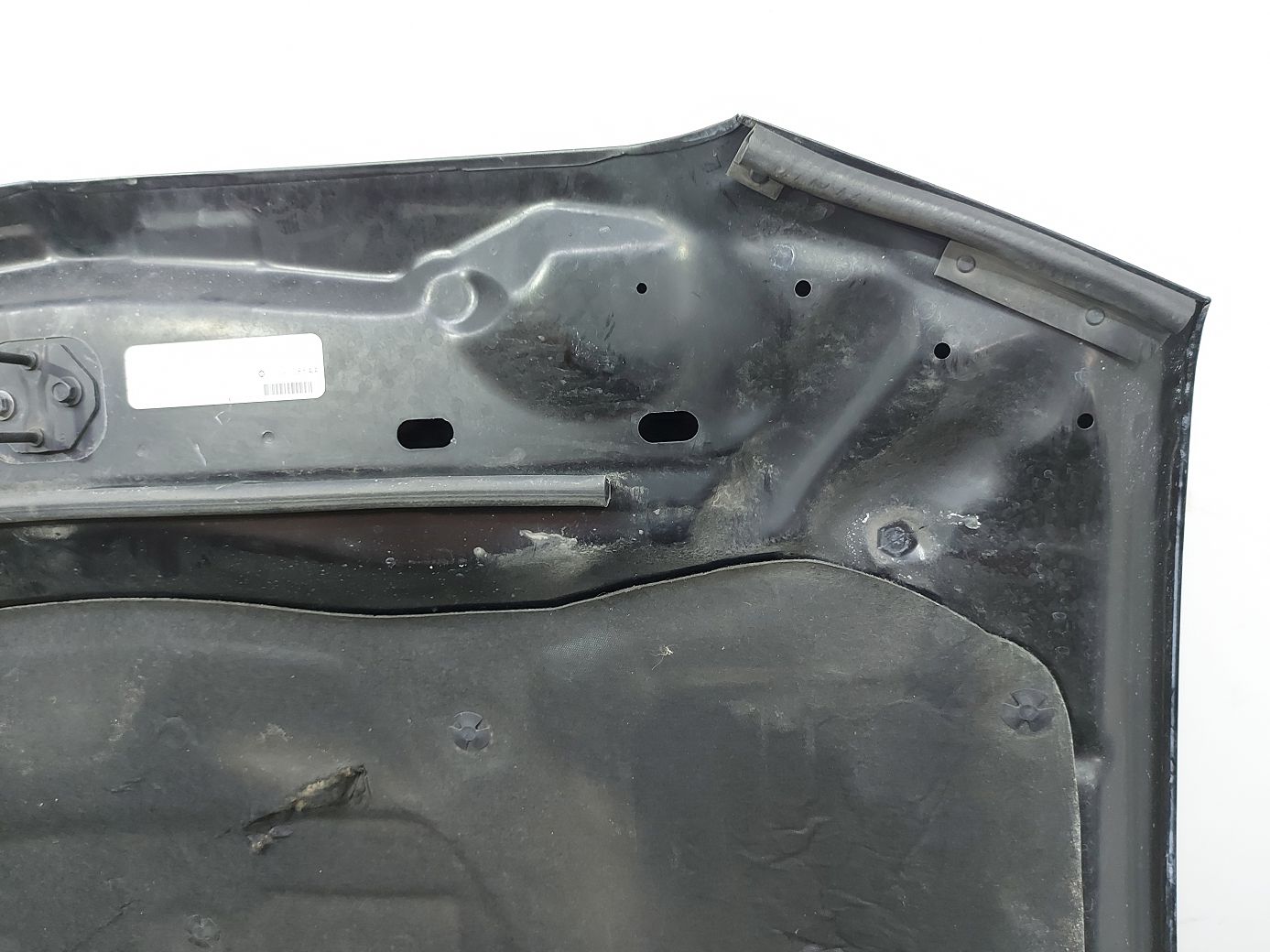Charger Капот Dodge Charger 2011-2014 68089361AB Dodge Charger 12