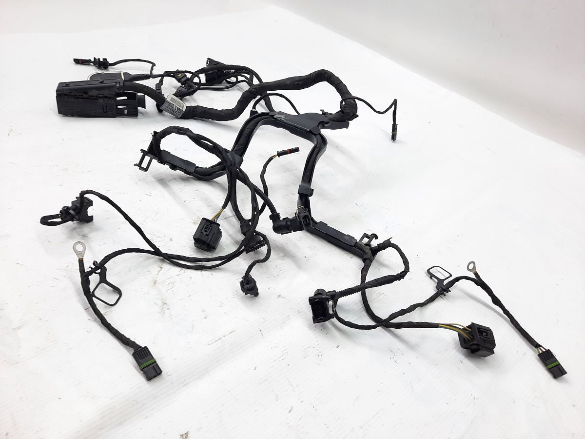 R 1200 Проводка двигуна BMW R 1200 2014 12518544470 BMW R 1200 3