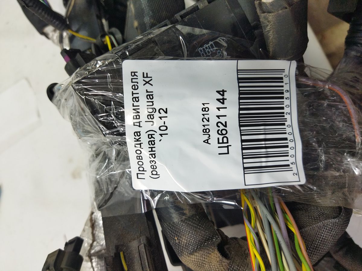 Xf Проводка двигуна (різане) Jaguar XF 2010-2012 AJ812181 Jaguar XF 9