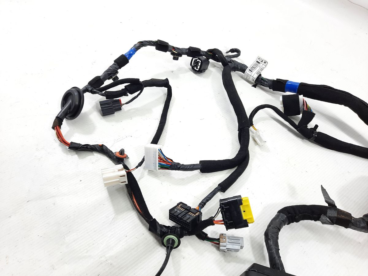 Cadenza Проводка двери передней левой Kia CADENZA 2015 916053R260 Kia CADENZA 5