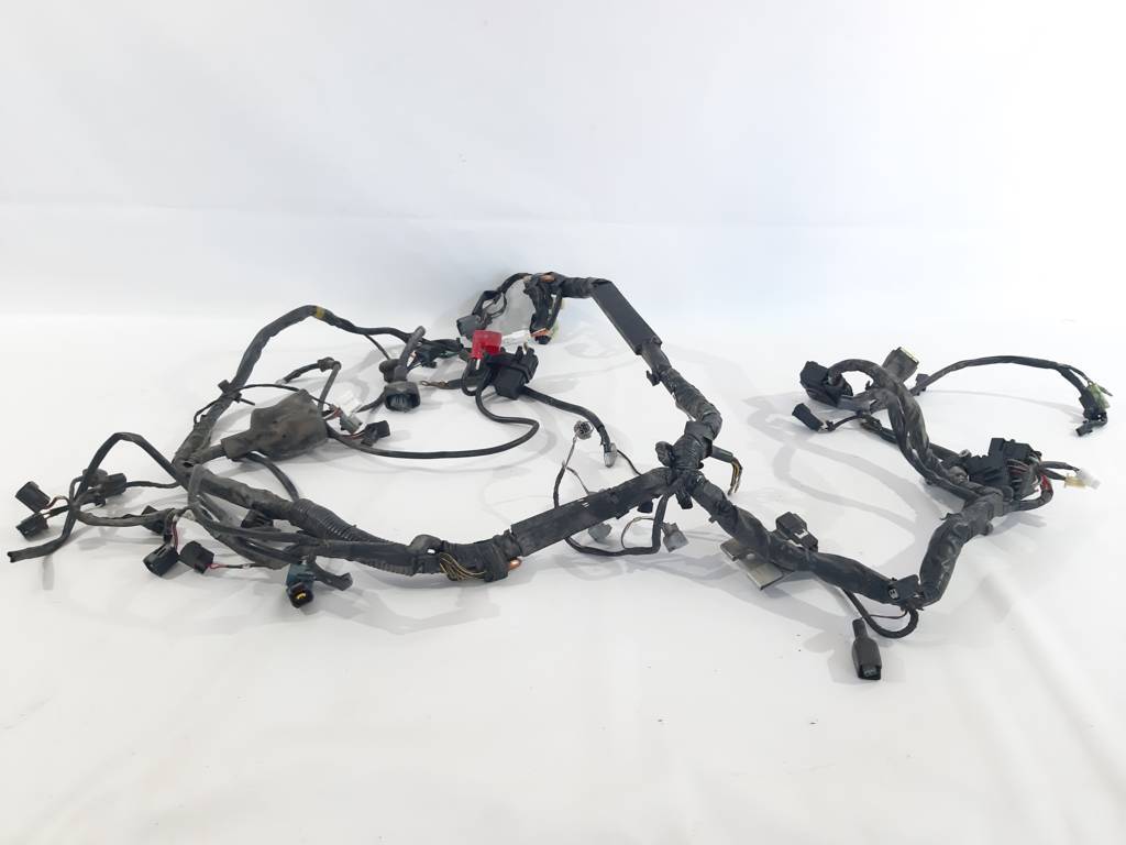 Zx-1000. Джгут проводів Kawasaki ZX-1000 2008-2009 260310656 Kawasaki ZX-1000