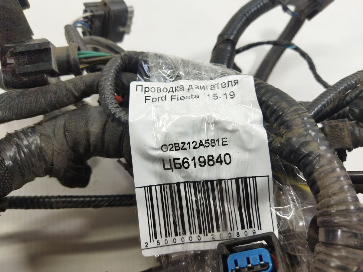 Fiesta Проводка двигуна Ford Fiesta 2015-2019 G2BZ12A581E Ford Fiesta 8