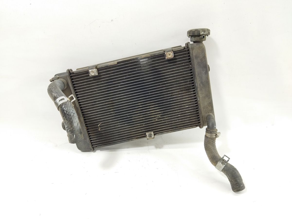 En-650d. Радіатор охолодження Kawasaki EN-650 D 2017 390610714 Kawasaki EN-650 D