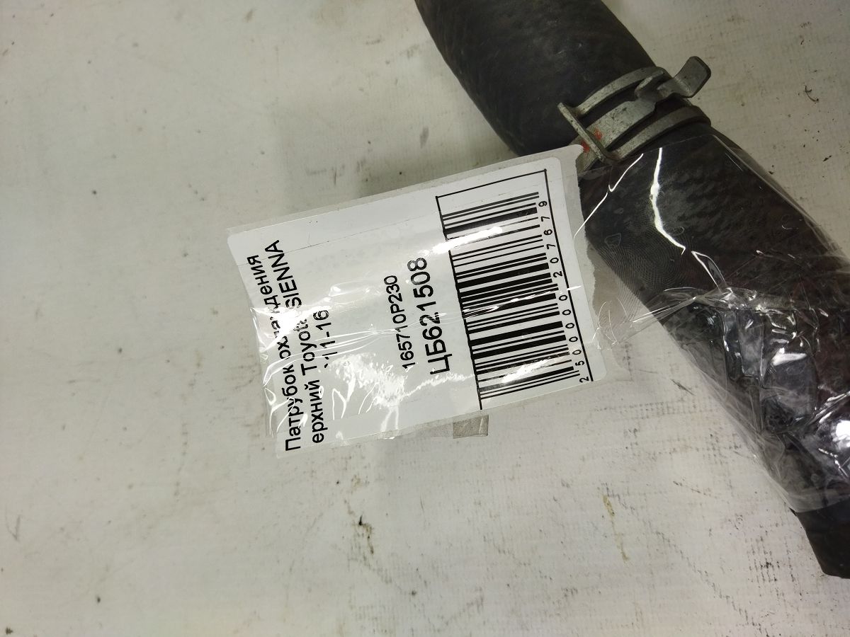 Sienna Патрубок охолодження верхній Toyota SIENNA 2011-2016 165710P230 Toyota SIENNA 3 Sienna Патрубок охолодження верхній Toyota SIENNA 2011-2016 165710P230 Toyota SIENNA 3