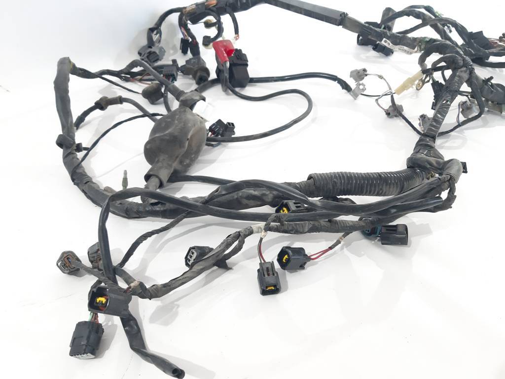 Zx-1000 Джгут проводів Kawasaki ZX-1000 2008-2009 260310656 Kawasaki ZX-1000 2