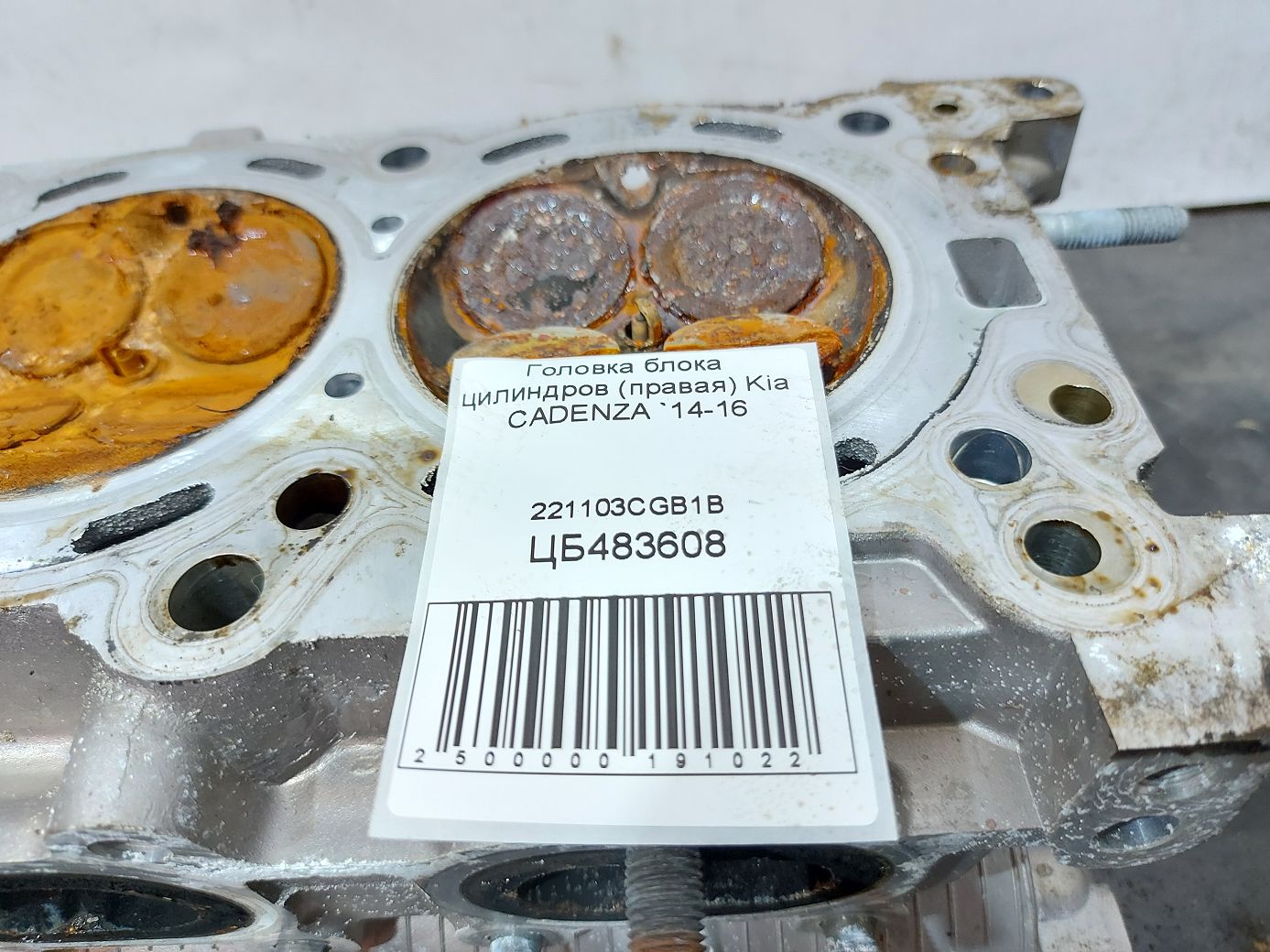 Cadenza Головка блоку циліндрів (права) Kia CADENZA 2014-2016 221103CGB1B Kia CADENZA 6 Cadenza Головка блоку циліндрів (права) Kia CADENZA 2014-2016 221103CGB1B Kia CADENZA 6