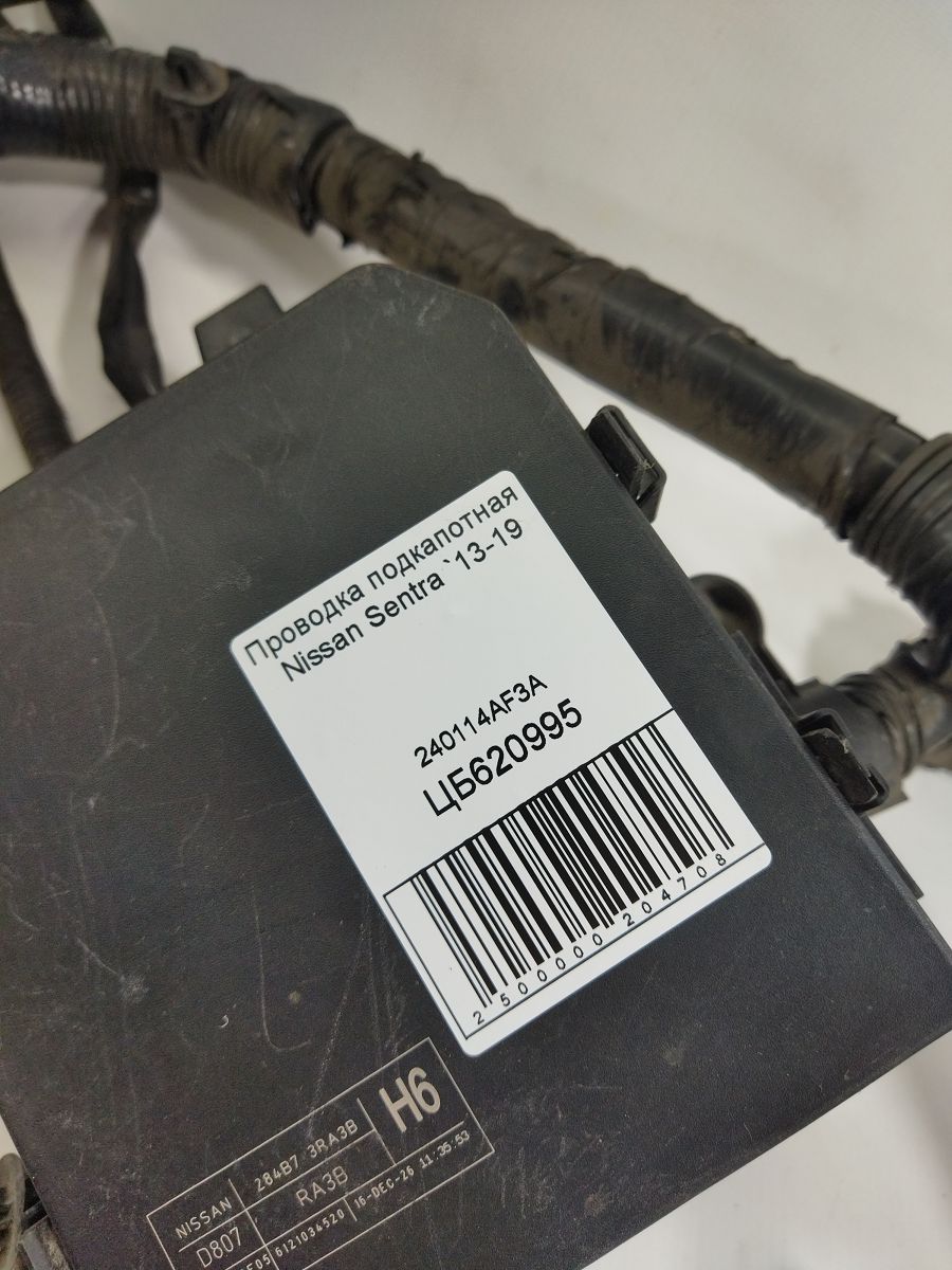 Sentra Проводка подкапотная Nissan Sentra 2013-2019 240114AF3A Nissan Sentra 7