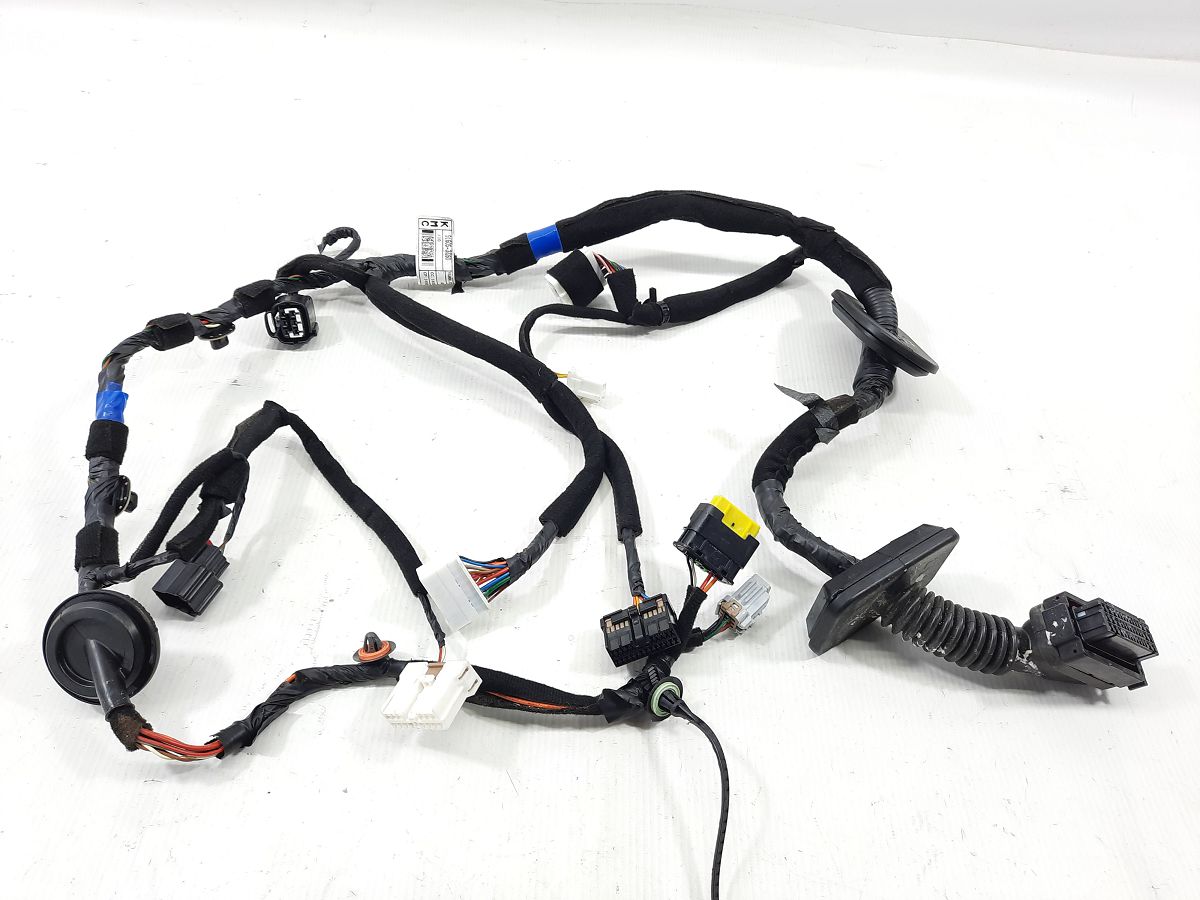 Cadenza Проводка двери передней левой Kia CADENZA 2015 916053R260 Kia CADENZA 2