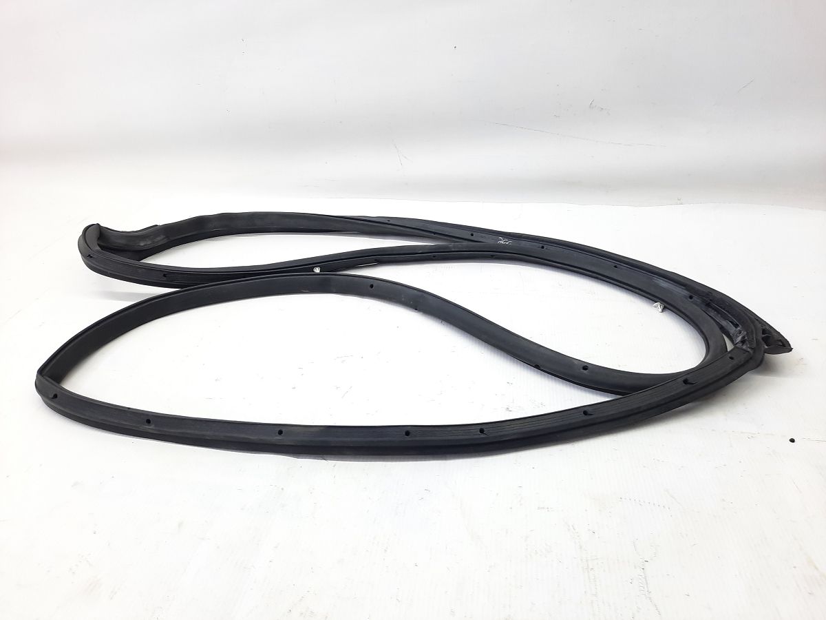 Journey. Уплотнительная резинка двери задней левой Dodge Journey 2009-2020 5076869AC Dodge Journey