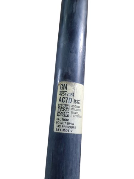 Bolt Амортизатор задній лівий/правий Chevrolet Bolt EV 2017-2023 42547084 Chevrolet Bolt EV 2