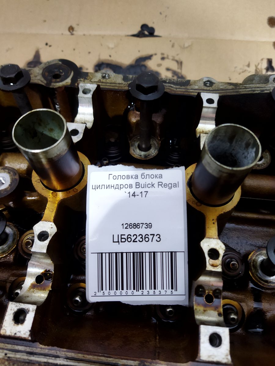 Regal Головка блока цилиндров Buick Regal 2014-2017 12686739 Buick Regal 13