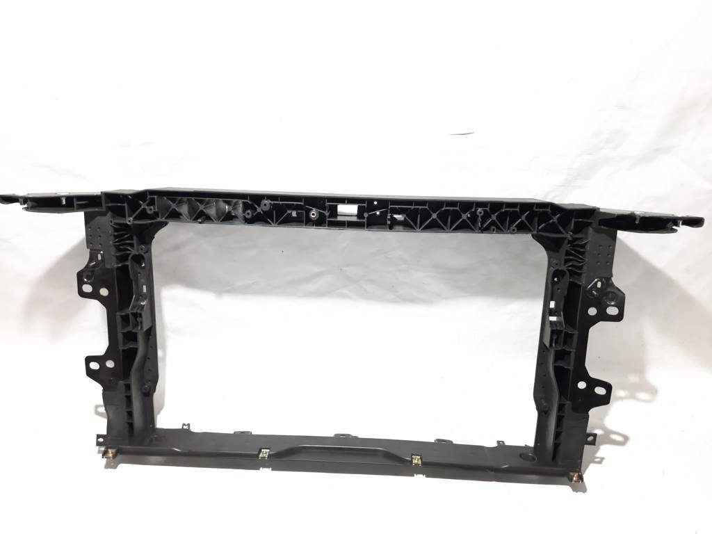 Вставки решітки радіатора Телевізор (дефект) Hyundai Elantra 2019-2020 64101F2500 Hyundai Elantra 7