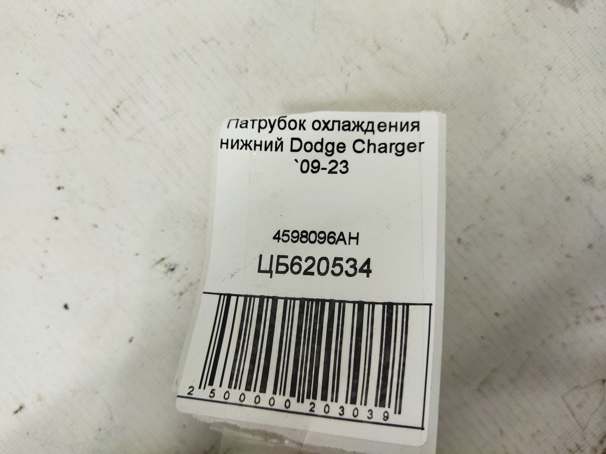 Charger Патрубок охолодження нижній Dodge Charger 2009-2023 4598096AH Dodge Charger 5 Charger Патрубок охолодження нижній Dodge Charger 2009-2023 4598096AH Dodge Charger 5