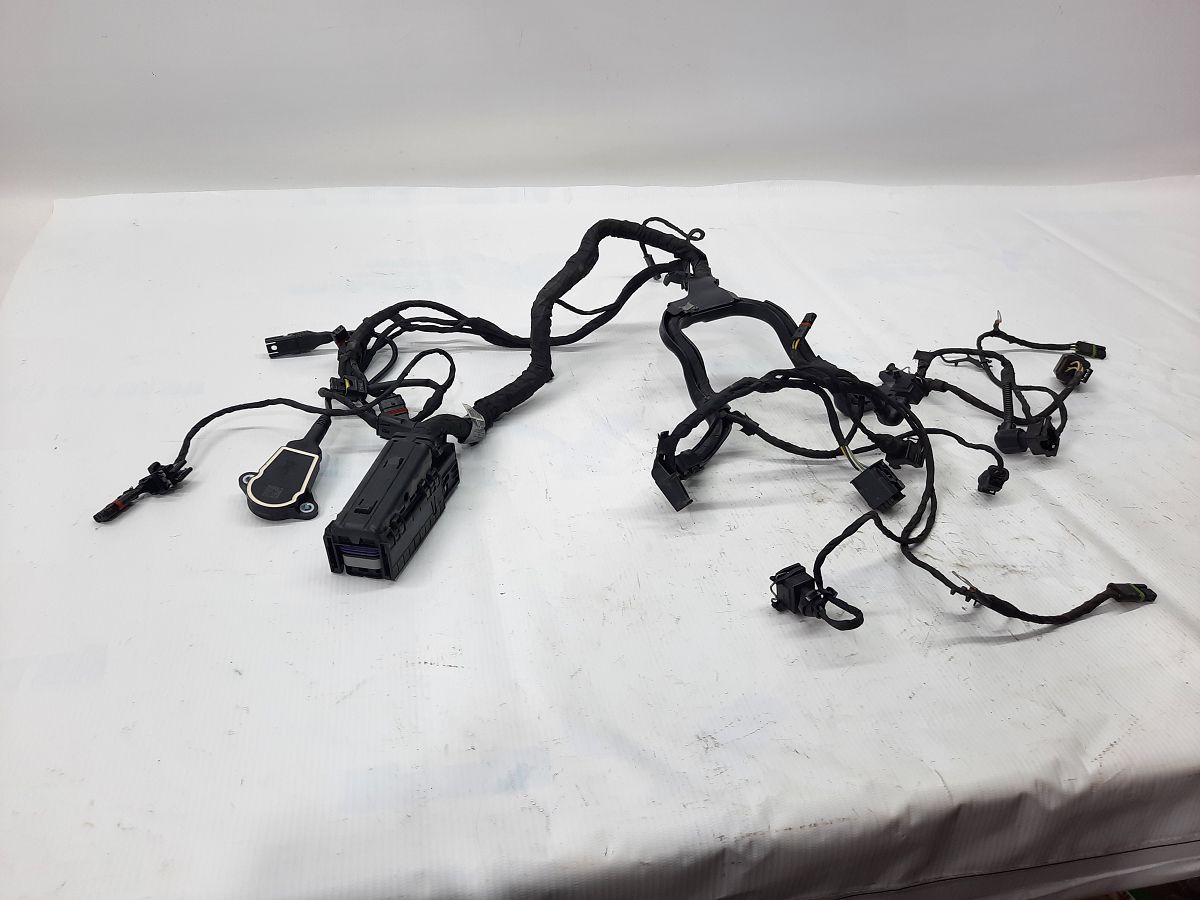 R 1200. Проводка двигателя BMW R 1200 2014 12518544470 BMW R 1200
