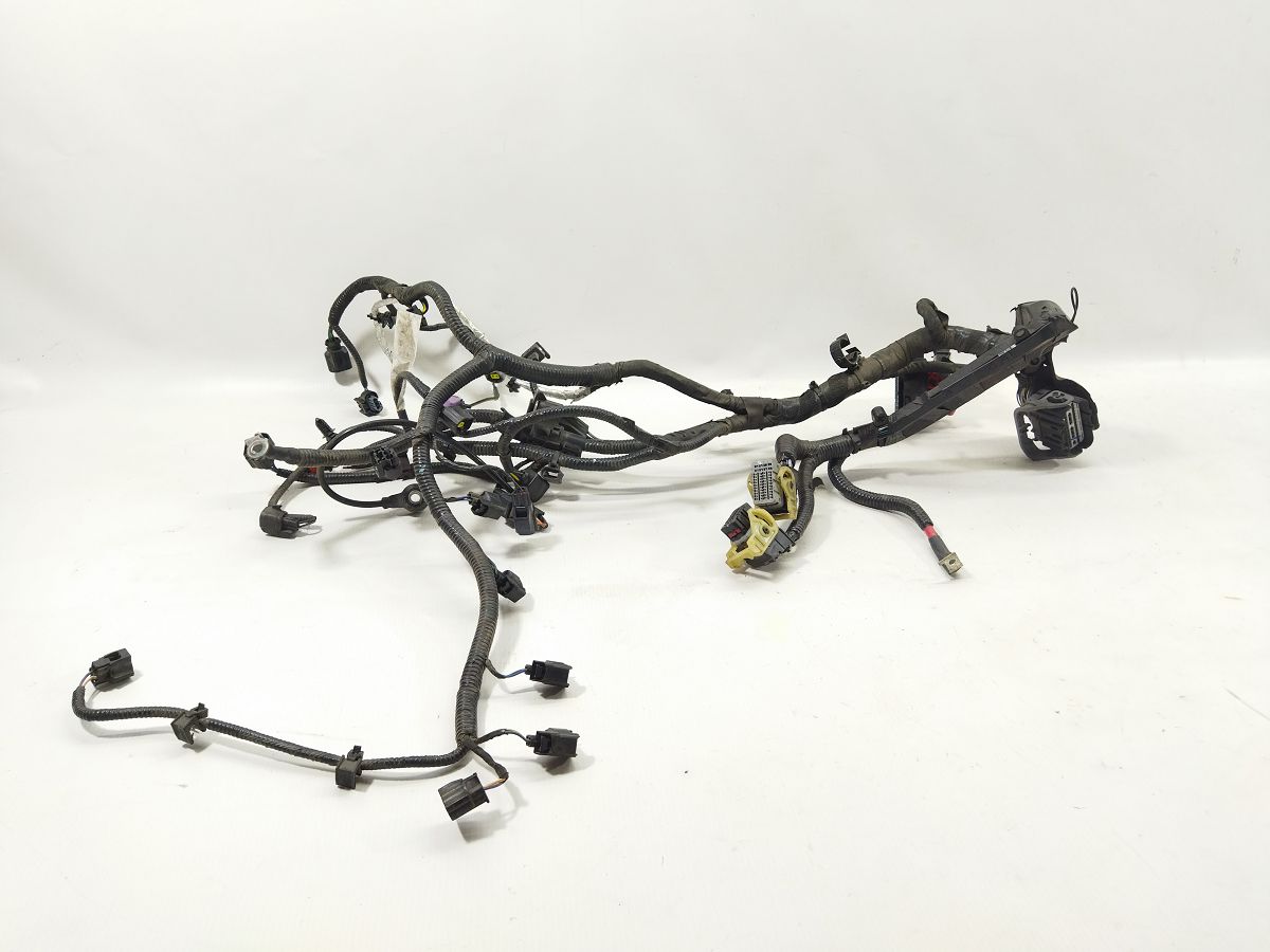 Fiesta. Проводка двигуна Ford Fiesta 2015-2019 G2BZ12A581E Ford Fiesta