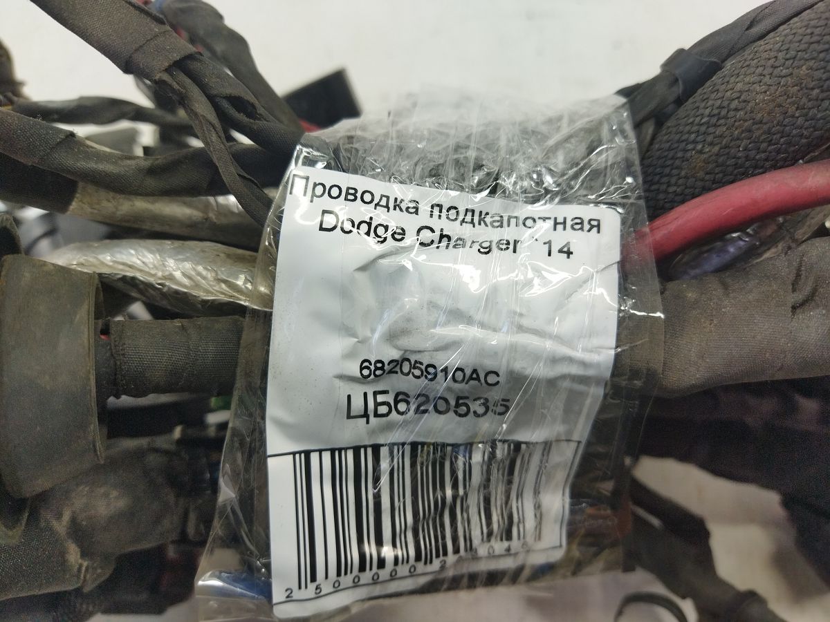 Charger Проводка подкапотная (резаная) Dodge Charger 2014 68205910AC Dodge Charger 9