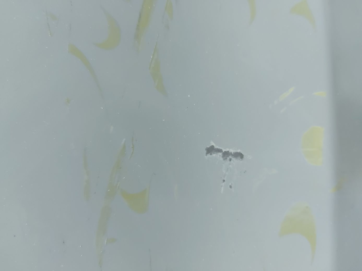 Двери Дверь задняя левая (серая) Honda M-NV Basic Version `2021 Honda M-NV Basic Version 4 Двери Дверь задняя левая (серая) Honda M-NV Basic Version `2021 Honda M-NV Basic Version 4