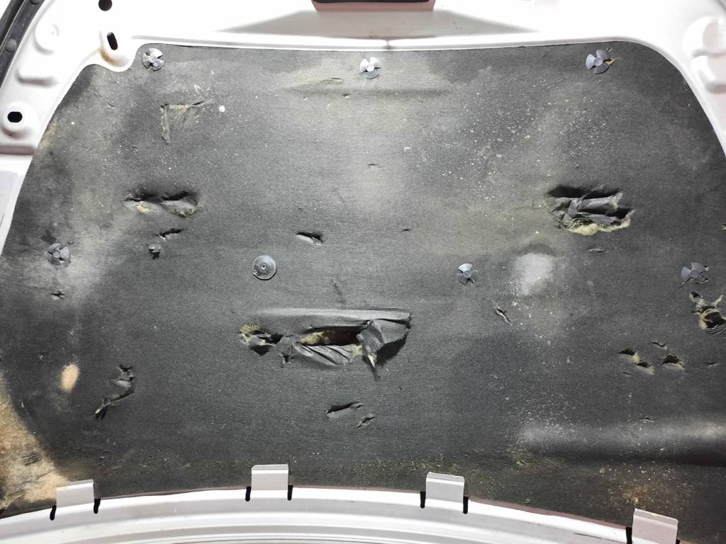 Dart Капот Dodge Dart 2013-2019 68081822AC Dodge Dart 16