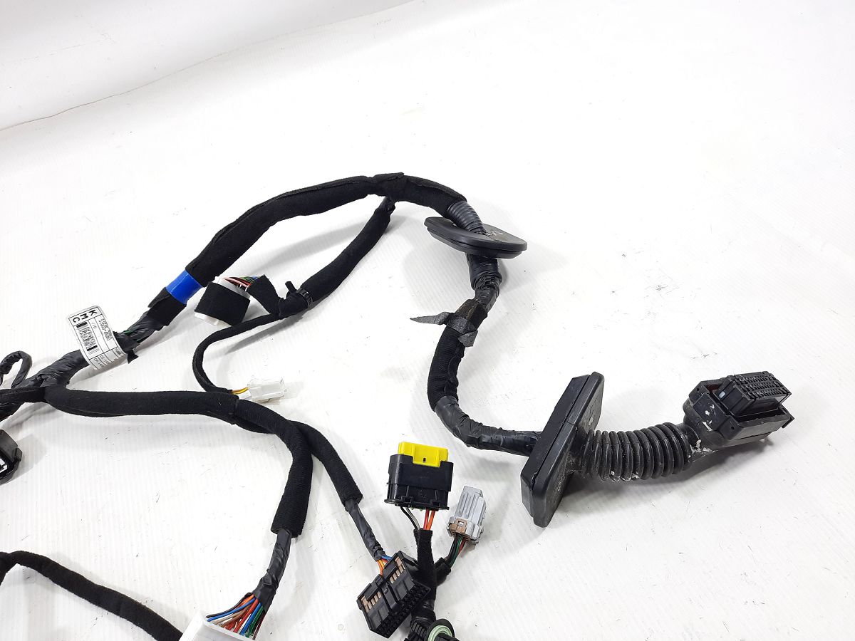 Cadenza Проводка двери передней левой Kia CADENZA 2015 916053R260 Kia CADENZA 4