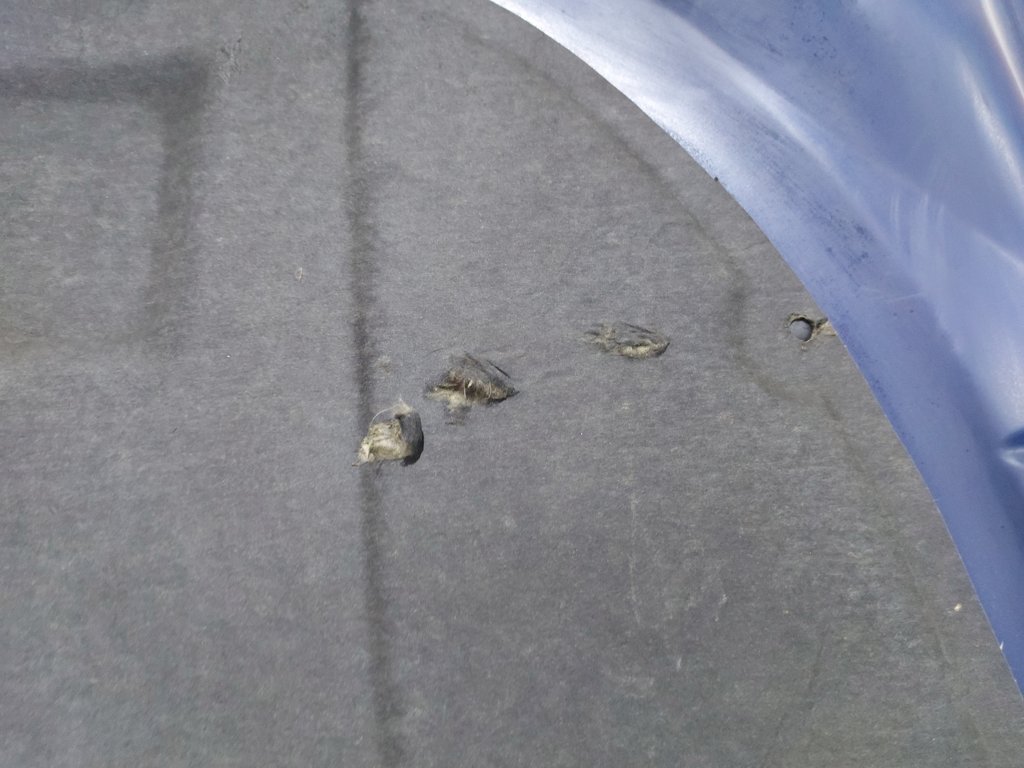 Avenger Капот Dodge Avenger 2008-2014 5008923AK Dodge Avenger 13