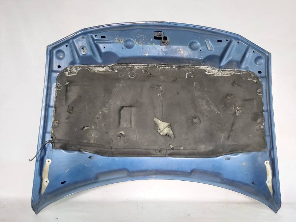 Charger Капот Dodge Charger 2008-2010 4575725AC Dodge Charger 7