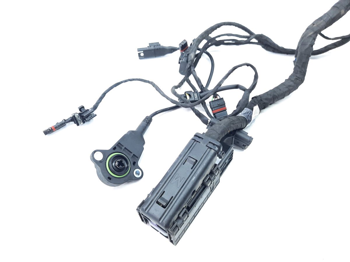 R 1200 Проводка двигуна BMW R 1200 2014 12518544470 BMW R 1200 5