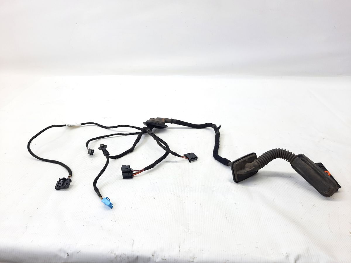 Passat s Проводка дверей задньої лівої Volkswagen Passat S 2012 561971693H Volkswagen Passat S 6