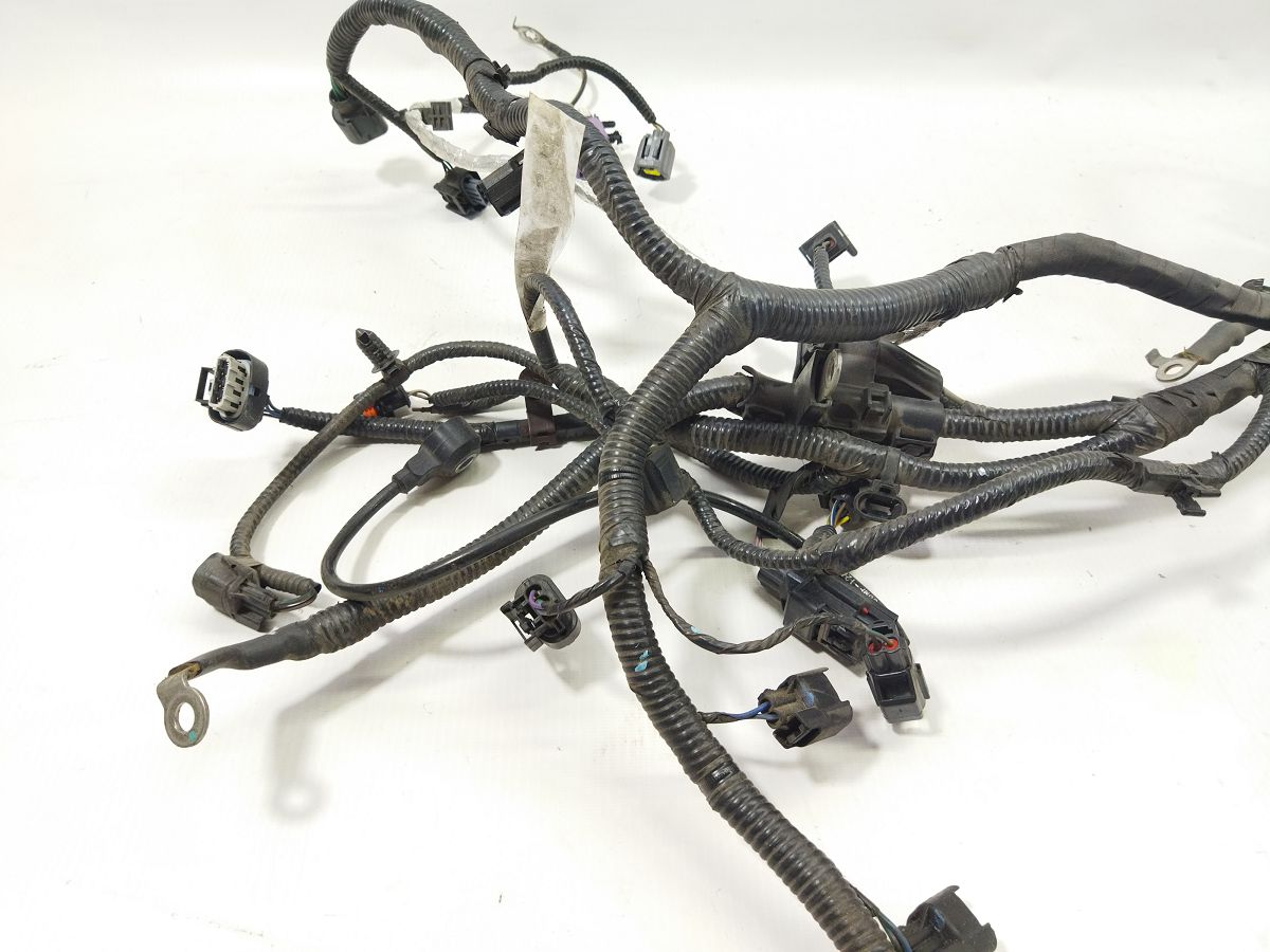 Fiesta Проводка двигуна Ford Fiesta 2015-2019 G2BZ12A581E Ford Fiesta 5