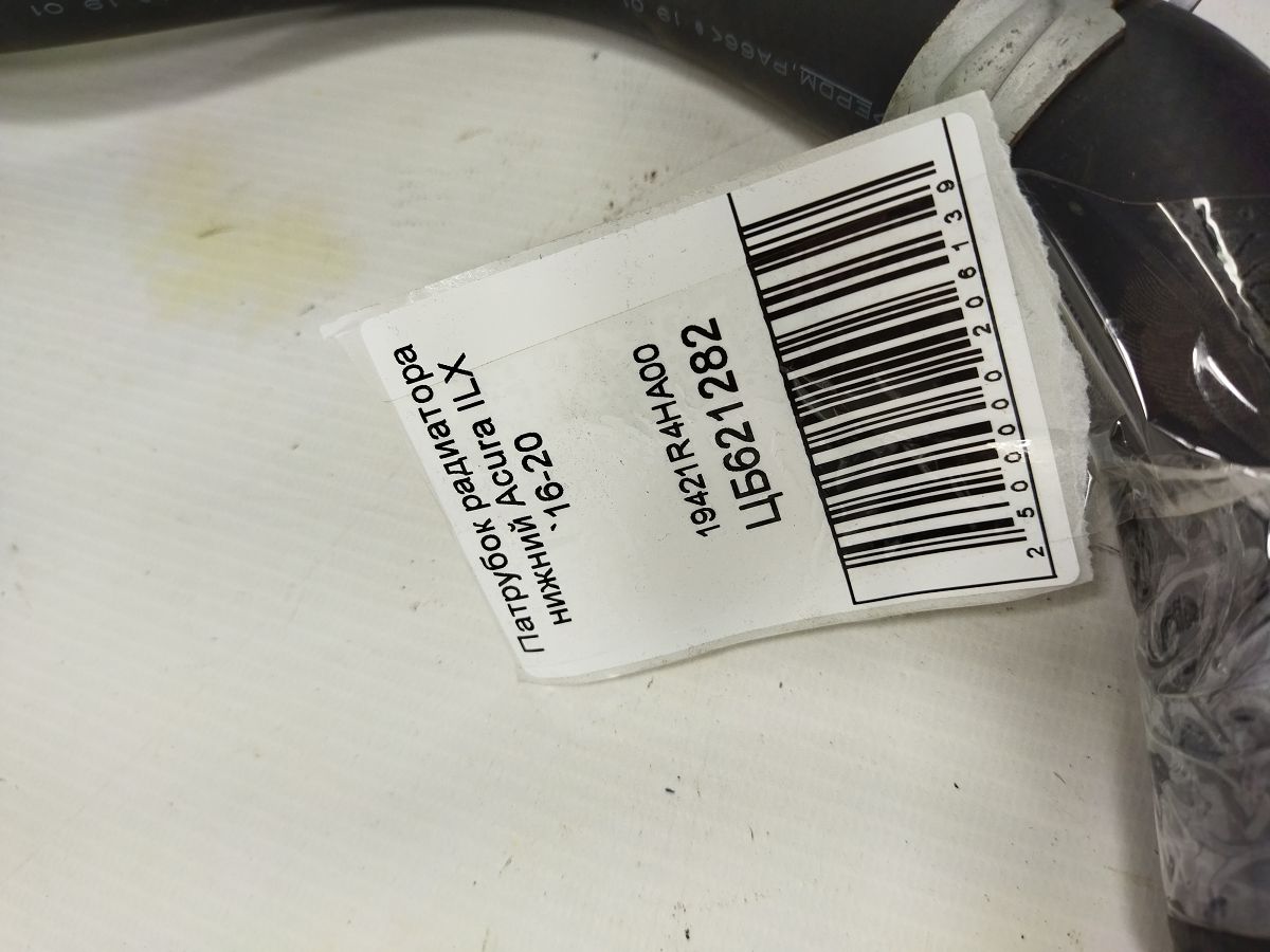 Ilx Патрубок радіатора нижній Acura ILX 2016-2020 19421R4HA00 Acura ILX 3 Ilx Патрубок радіатора нижній Acura ILX 2016-2020 19421R4HA00 Acura ILX 3