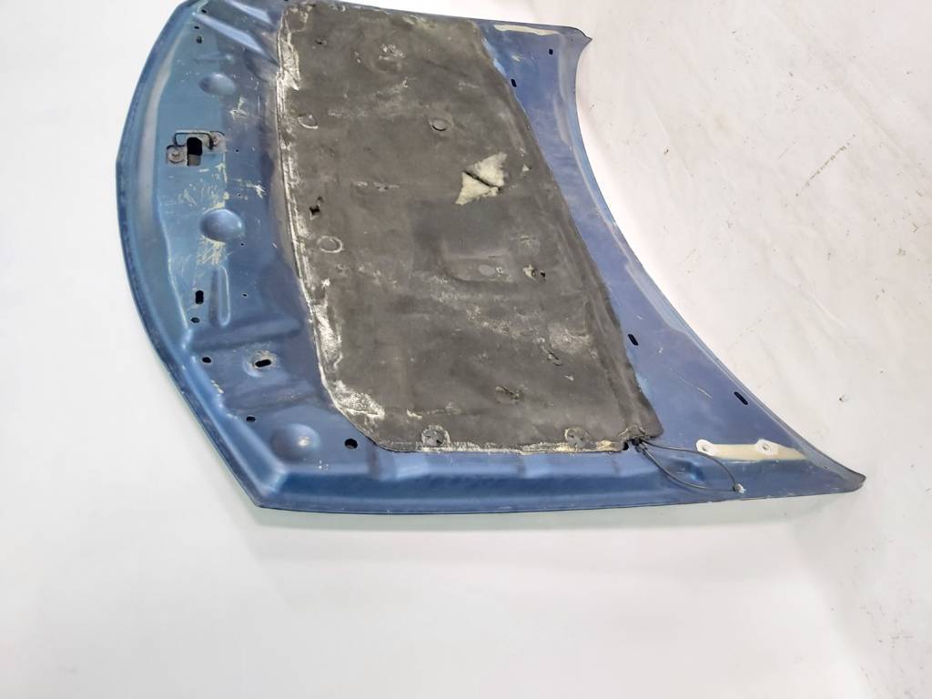 Charger Капот Dodge Charger 2008-2010 4575725AC Dodge Charger 8