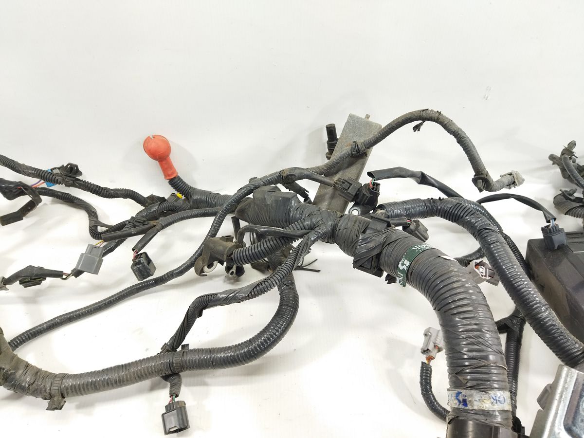 Sentra Проводка подкапотная Nissan Sentra 2013-2019 240114AF3A Nissan Sentra 4