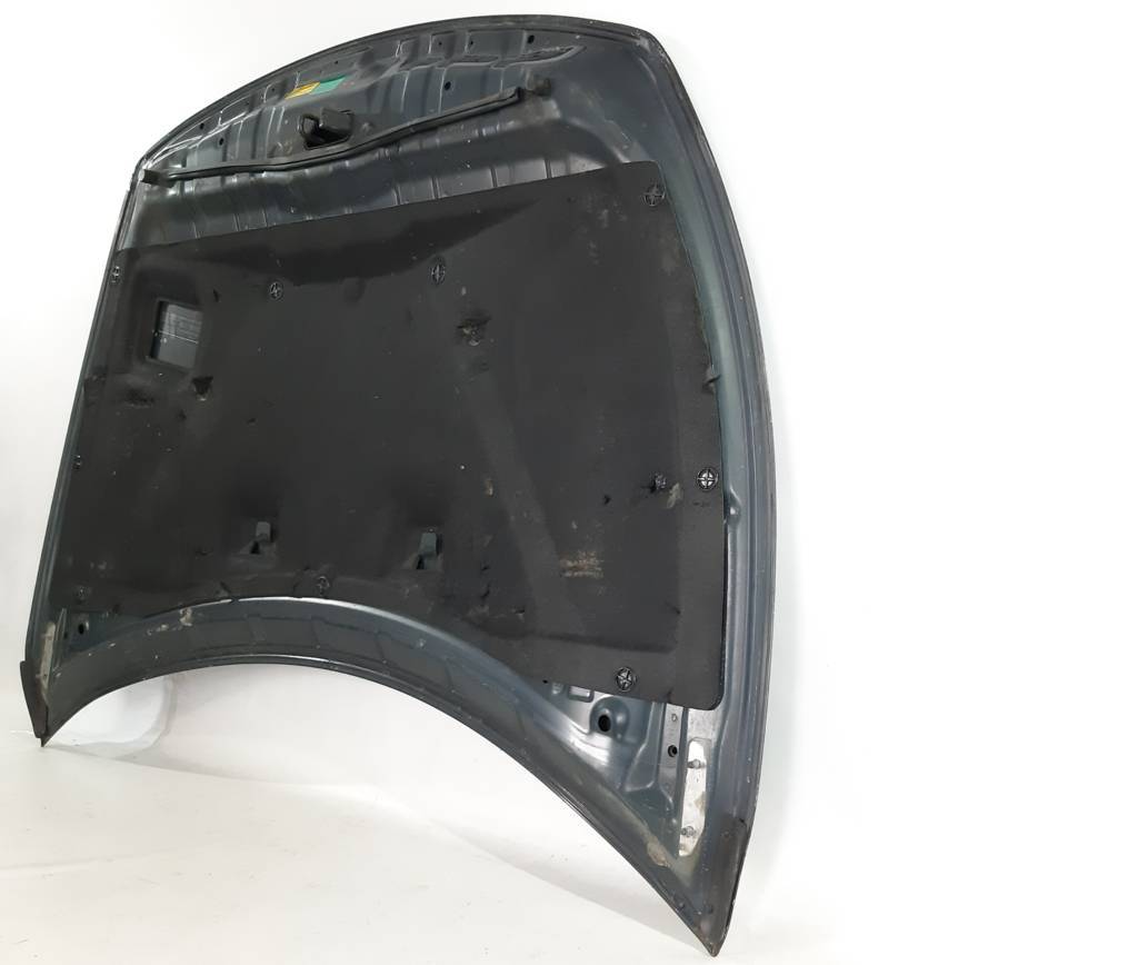 Maxima Капот Nissan Maxima 2009-2014 F51009N0MA Nissan Maxima 21