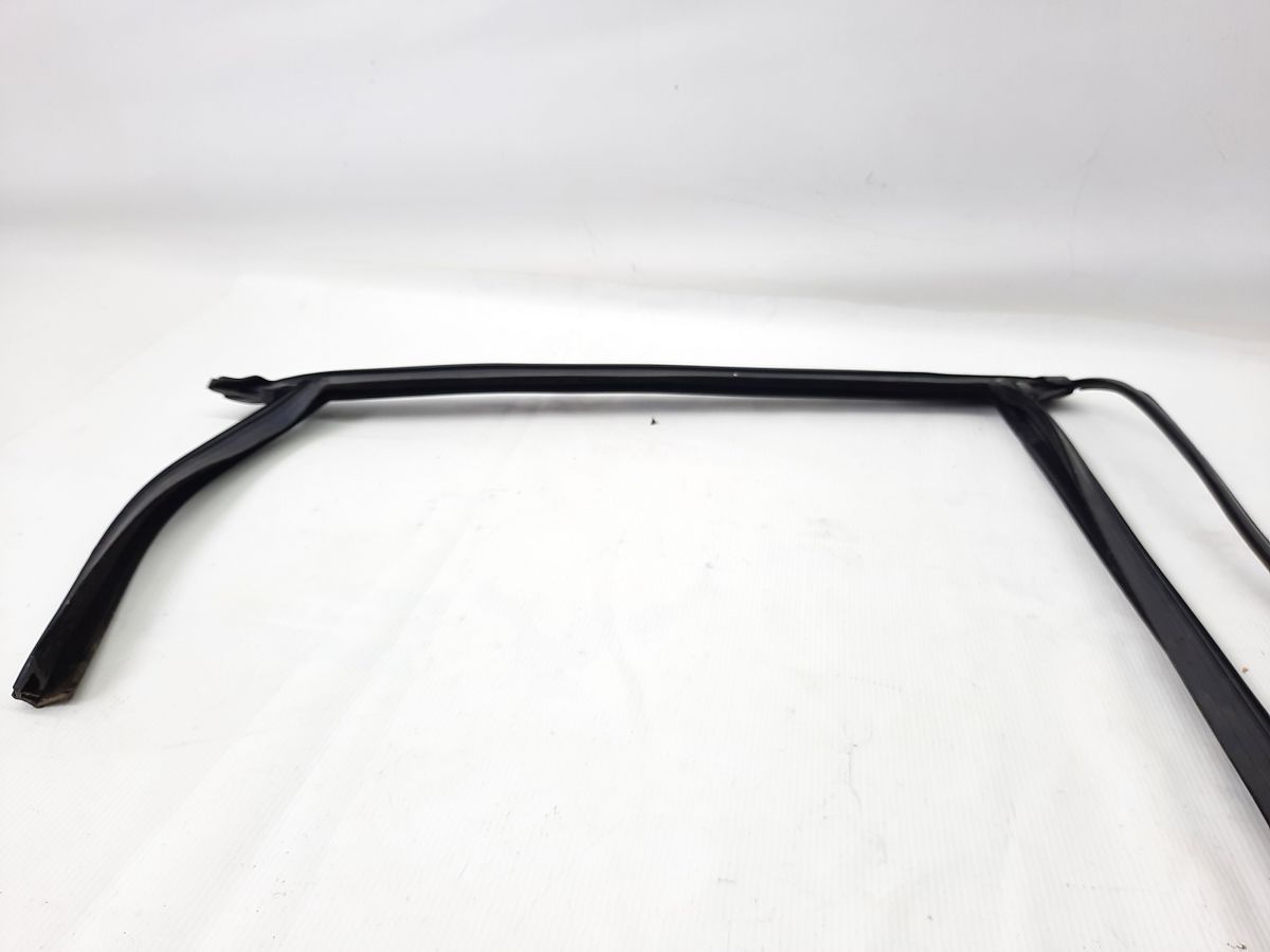 Focus. Напрямна гумка скла дверей задньої лівої Ford Focus 2014-2018 DM5Z5825767A Ford Focus