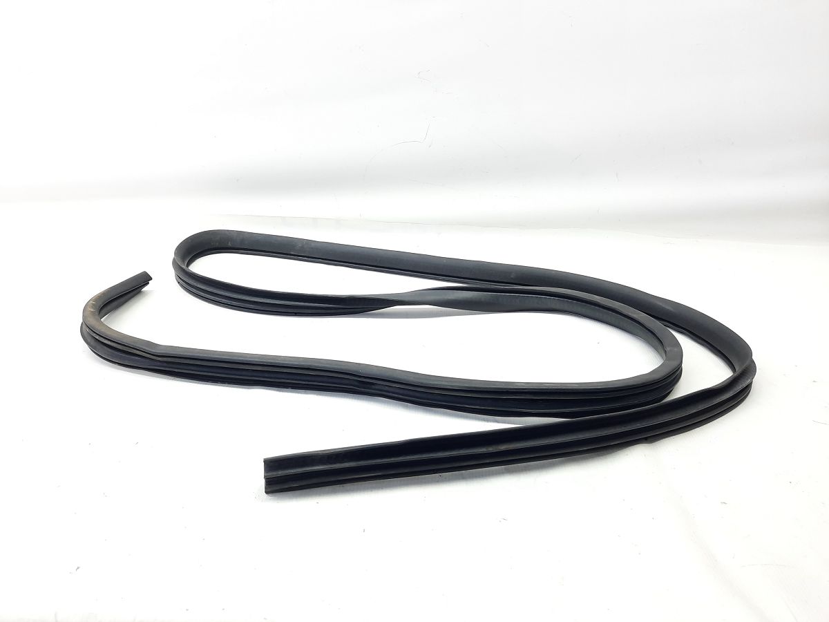 Grand caravan. Ущільнювальна гумка прорізу дверей передньої лівої/правої Dodge Grand Caravan 2009-2020 1JG12XXXAG Dodge Grand Caravan