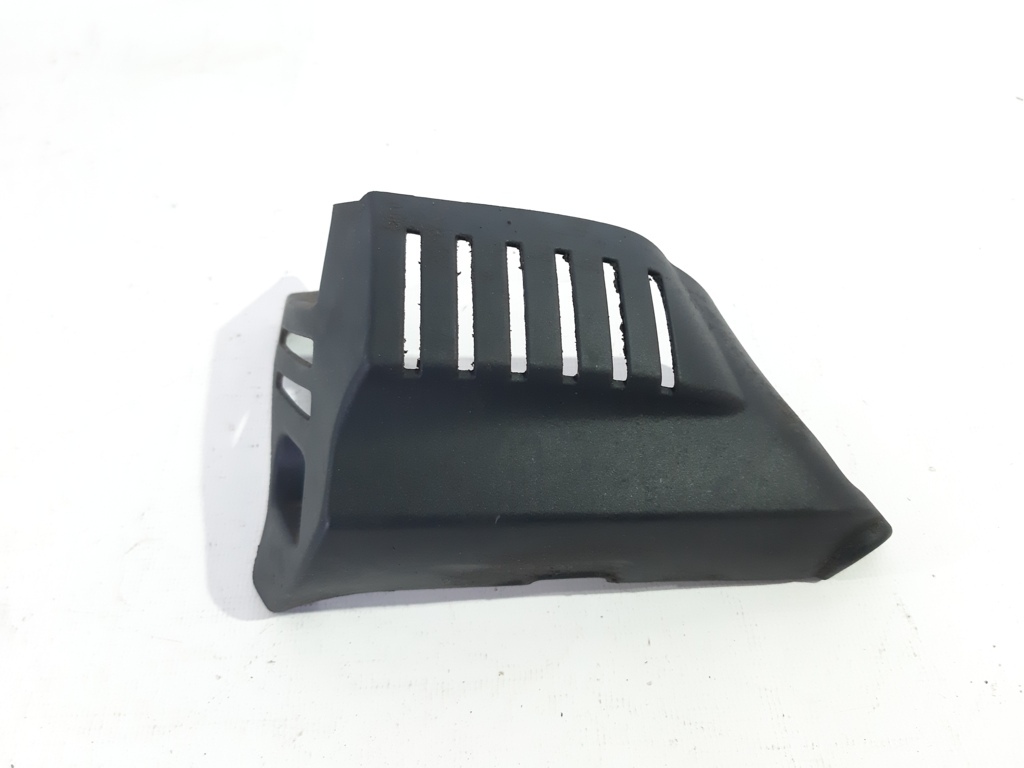 R 1200 r Захист циліндра лівого BMW R1200 R 2011-2014 12137653137 BMW R1200 R 1