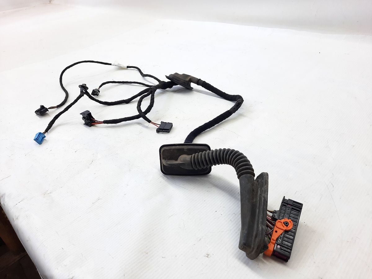 Passat s Проводка дверей задньої лівої Volkswagen Passat S 2012 561971693H Volkswagen Passat S 7