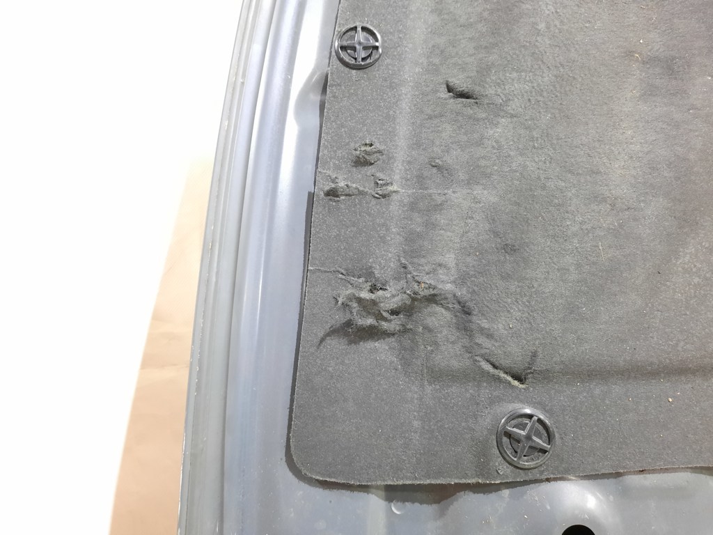 Maxima Капот Nissan Maxima 2009-2014 F51009N0MA Nissan Maxima 14