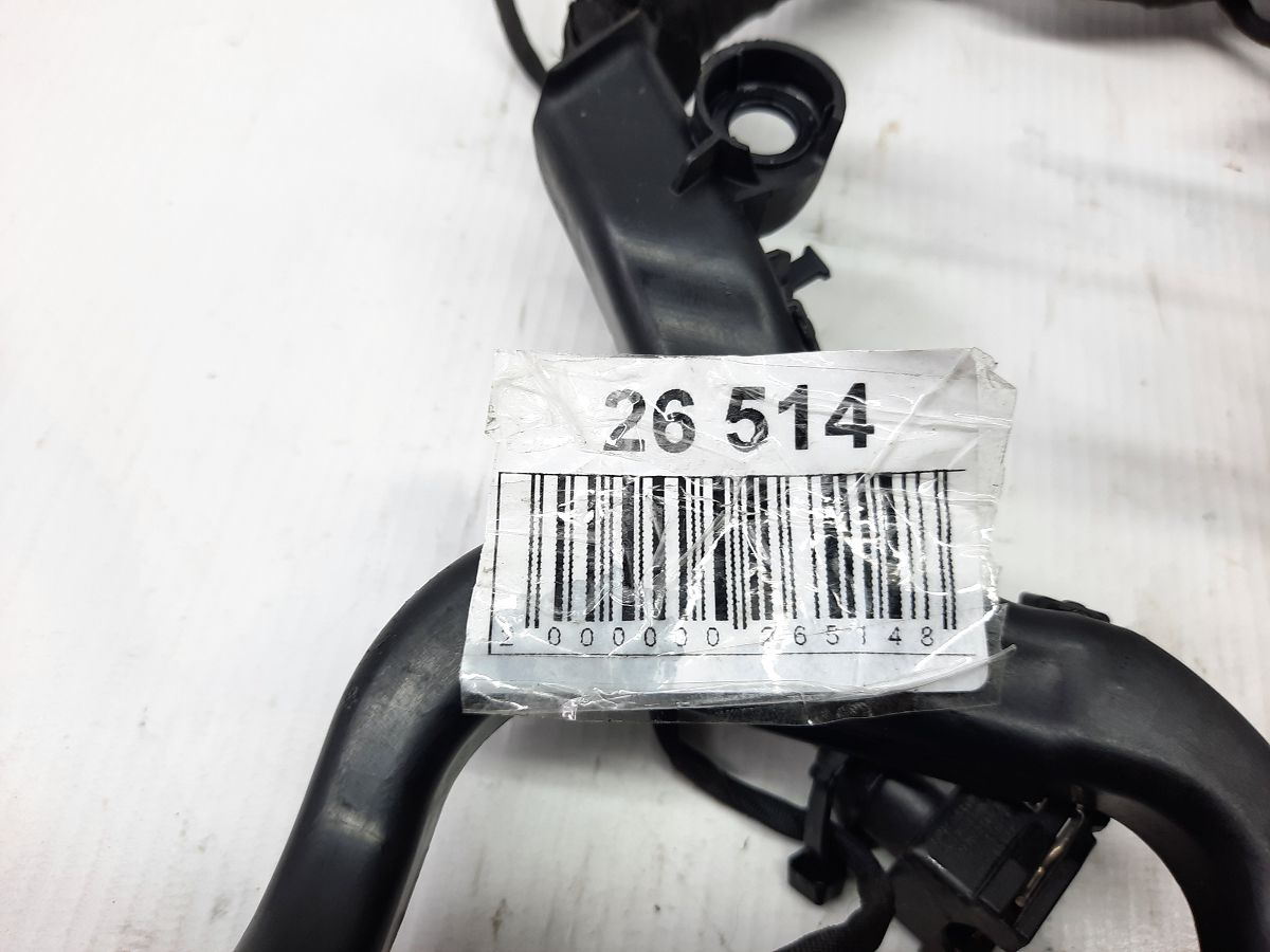 R 1200 Проводка двигуна BMW R 1200 2014 12518544470 BMW R 1200 7