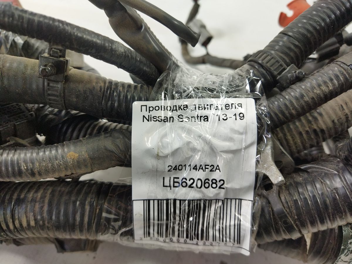Sentra Проводка двигуна Nissan Sentra 2013-2019 240114AF2A Nissan Sentra 6 Sentra Проводка двигуна Nissan Sentra 2013-2019 240114AF2A Nissan Sentra 6