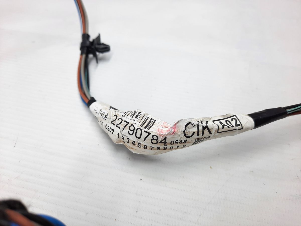 Equinox Проводка двери задней левой Chevrolet Equinox 2012-2017 22790784 Chevrolet Equinox 3