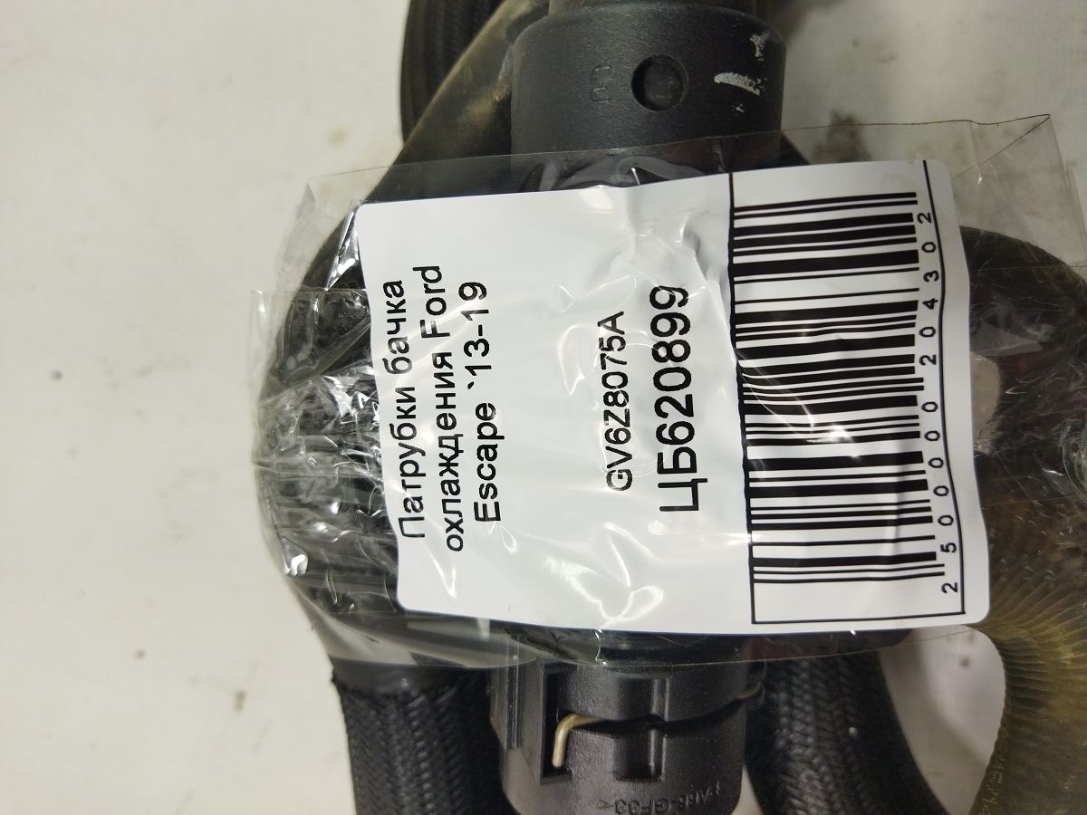 Escape Патрубки бачка охлаждения Ford Escape 2013-2019 GV6Z8075A Ford Escape 3