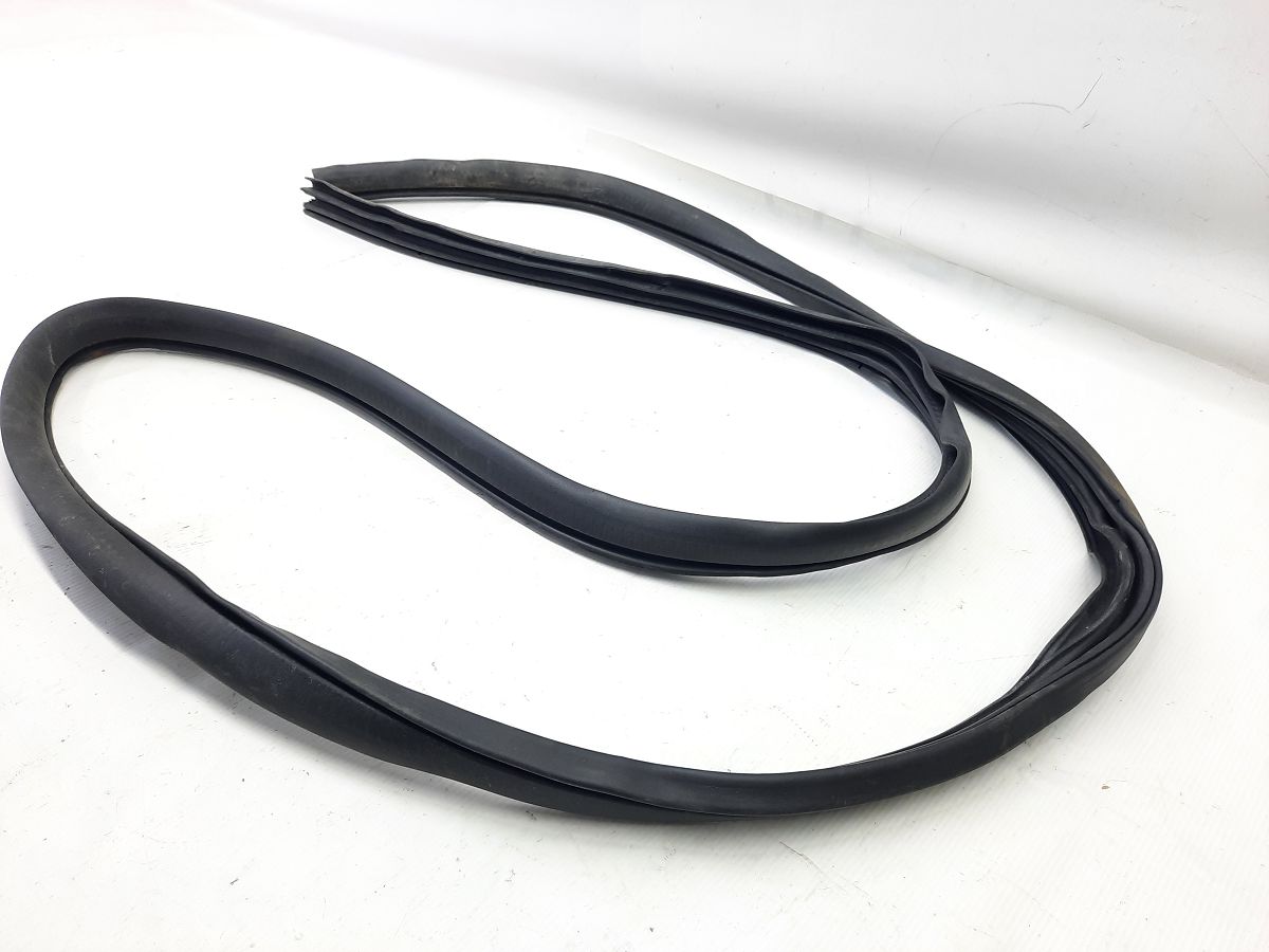 Grand caravan Ущільнювальна гумка прорізу дверей передньої лівої/правої Dodge Grand Caravan 2009-2020 1JG12XXXAG Dodge Grand Caravan 9