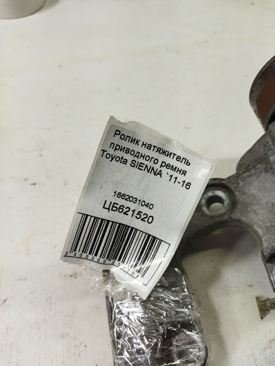 Sienna Ролик натягувач приводного ременя Toyota SIENNA 2011-2016 1662031040 Toyota SIENNA 7