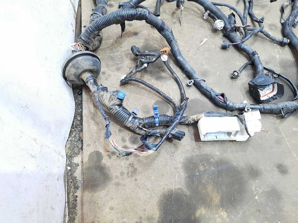 Sentra Проводка подкапотная Nissan Sentra 2016-2017 240114AF3A Nissan Sentra 4