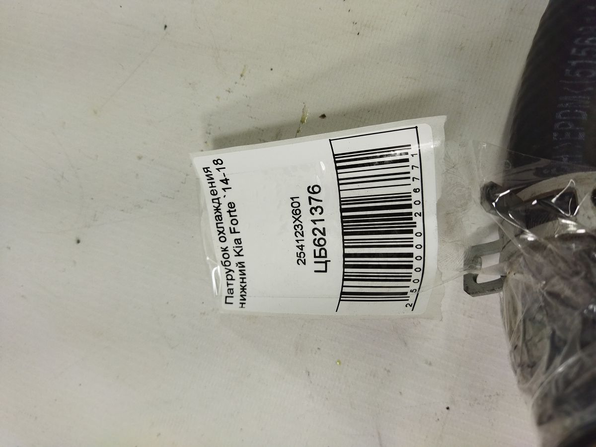 Forte Патрубок охолодження нижній Kia Forte 2014-2018 254123X601 Kia Forte 4