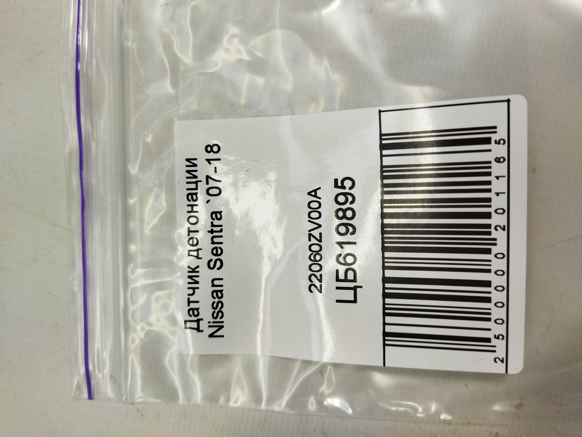 Sentra Датчик детонації Nissan Sentra 2007-2018 22060ZV00A Nissan Sentra 4