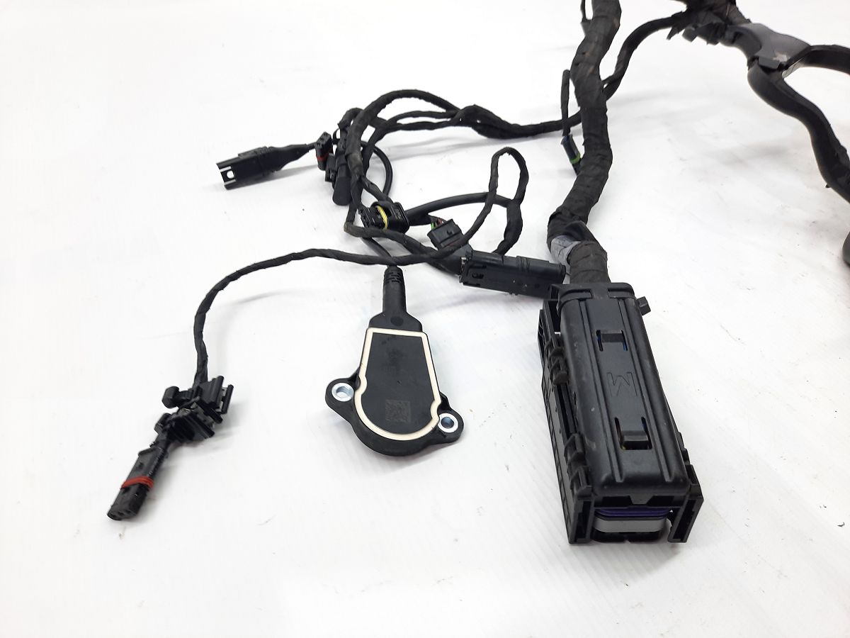 R 1200 Проводка двигуна BMW R 1200 2014 12518544470 BMW R 1200 2