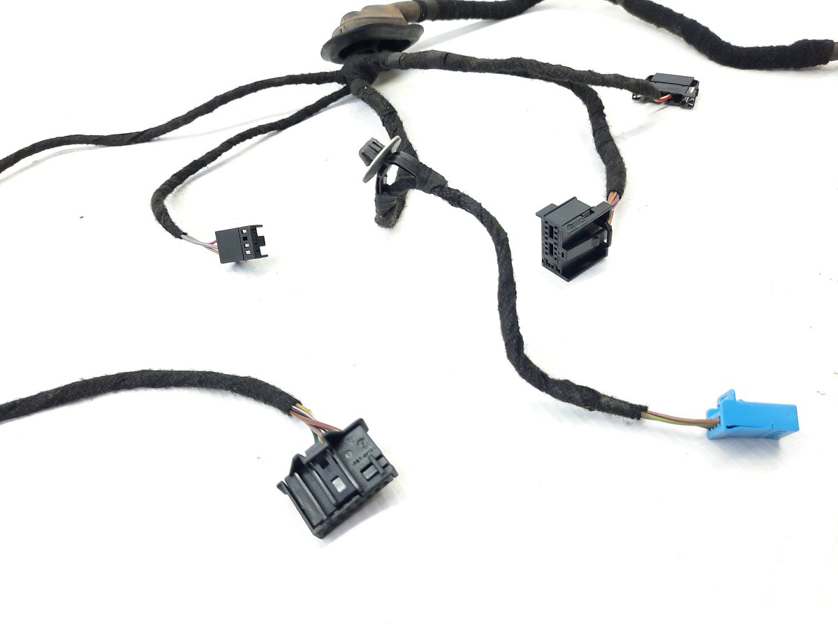 Passat s Проводка дверей задньої лівої Volkswagen Passat S 2012 561971693H Volkswagen Passat S 8